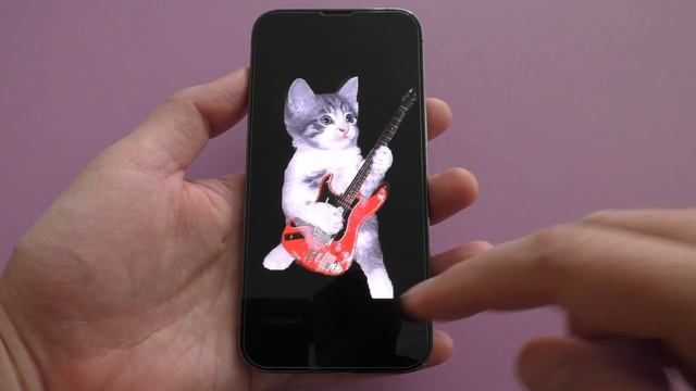 Cat Guitarist on iPhone 13 Pro Incoming Call смотреть онлайн