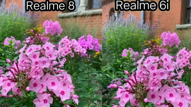 Realme 8 VS Realme 6i camera test,camera comparison смотреть онлайн