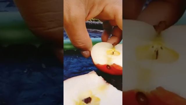 grow Apple red white apple blue # short смотреть онлайн