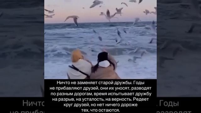 Красивые слова верные слова! смотреть онлайн