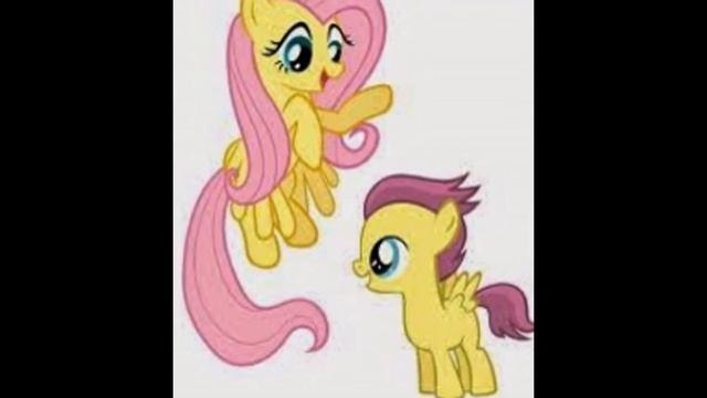 Fluttershy's Story
