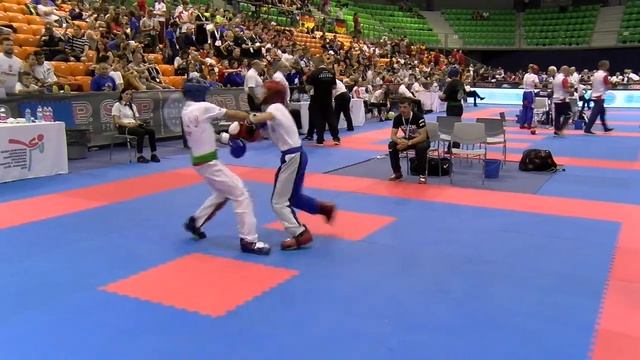 Mate Hammer v Denis Petrov WAKO European Championships 2019 смотреть онлайн