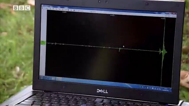 Focus 2 2E Unit 2 Lesson 1 Video 6 BBC смотреть онлайн