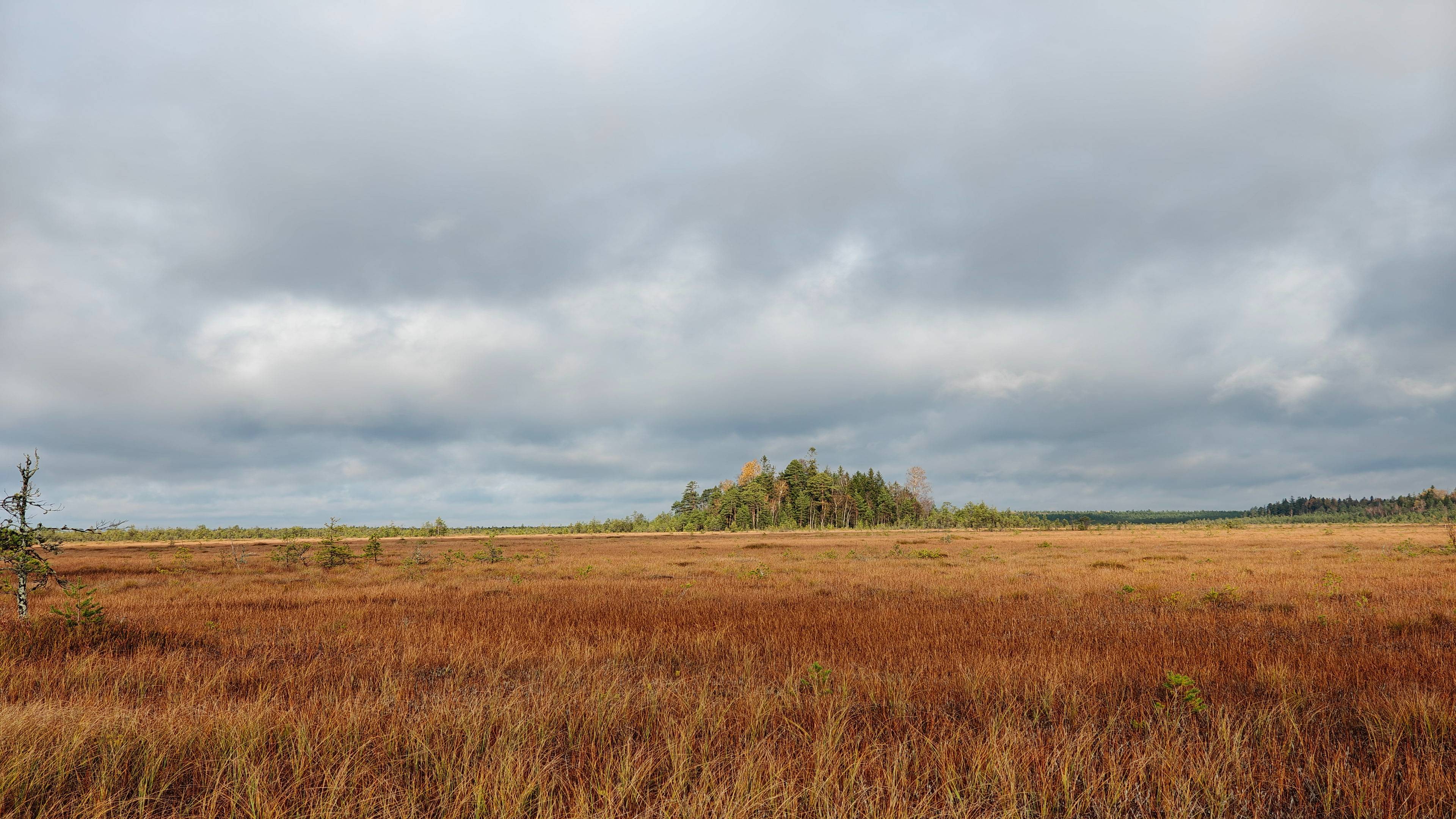 2024-10-12_Зареченская