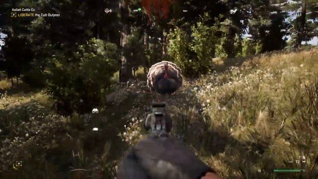 Oh look a turkey смотреть онлайн