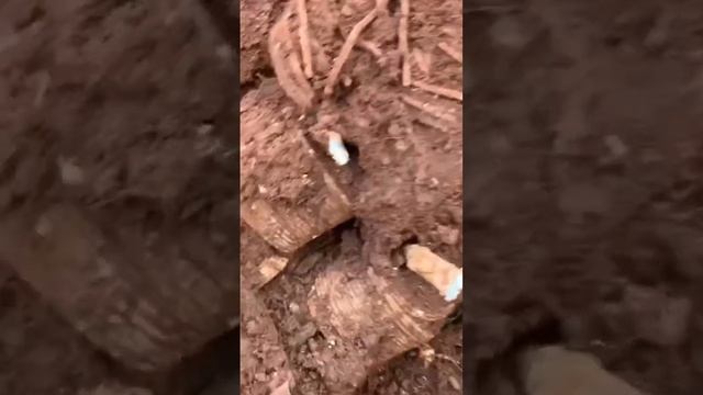 Сварочный аппарат и кабель￼- Эхо СССР￼ смотреть онлайн