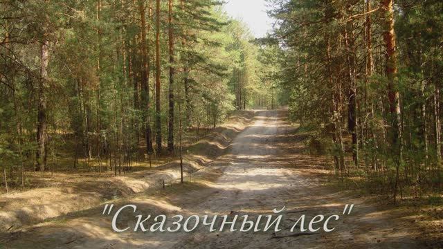 "Сказочный лес"