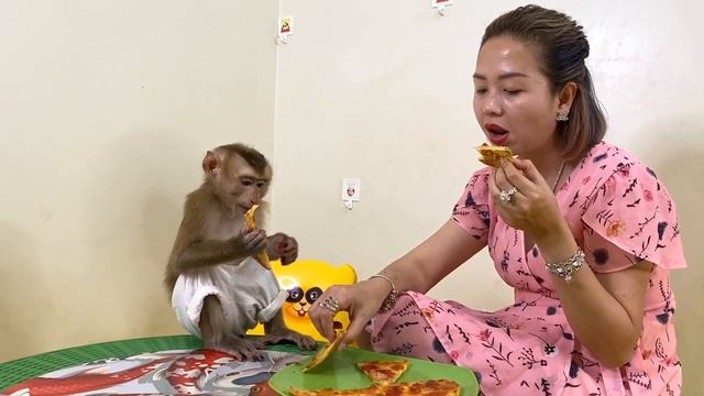Baby Monkey  Mom Use Apple With Eggs To Make Cake For DouDou