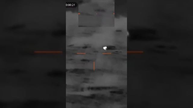 Милота, зайчишка, именно из-за них и ведем борьбу с хищником #тепловизор #природа #guidetr430 смотреть онлайн