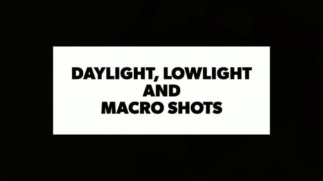 Google Pixel 6 Pro vs iPhone 13 Pro Max Camera Test Comparison смотреть онлайн