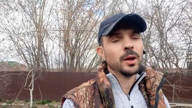 //Они будут жить вместе с огромными свиньями // смотреть онлайн