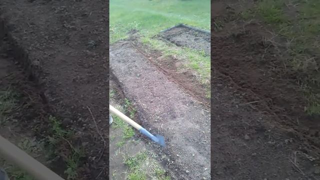 "Ручной культиватор Грач"-2019 смотреть онлайн