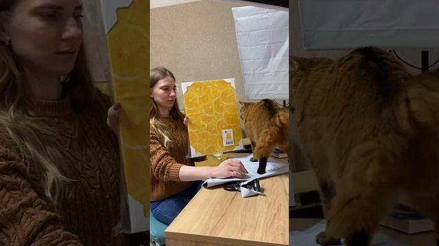 Создаю иллюстрации, которые реализуются в жизни #иллюстратор #акварель смотреть онлайн