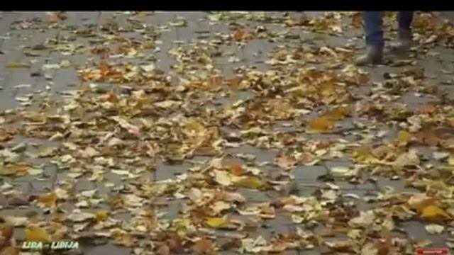 Ты засыпаешь в поцелуях, Стихи Александр Становский, муз и исп #СамуилФрумович смотреть онлайн