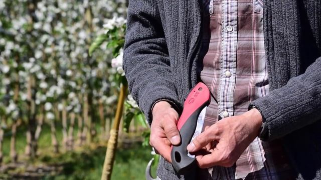 Ambrosia Apple Pruning Like a Pro 4 - by Steve Brown смотреть онлайн