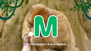 [NEW!] abc song | kids song | PHONICS SONG | larva kids | live action