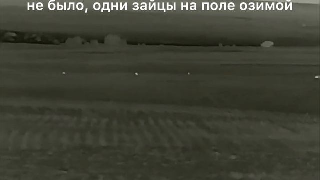 1. Охота на шакала с прицелом Iray Saim SCT 35 V2 смотреть онлайн