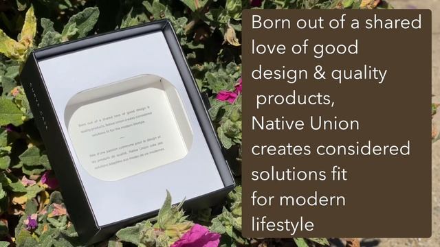 Reviewing this Dumb Case смотреть онлайн