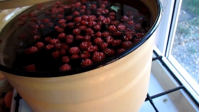 ✔ВЯЖЕМ✔САЛАТ С РЕДИСКОЙ ✔МЕНЯЕМ БОЧКУ НА ДУШЕ✔БЫСТРЫЕ СБОРЫ✔В ДИНСКОЙ✔ДЕНЬ МОЛОДЕЖИ✔В ПИЦЕРИИ✔27 ию смотреть онлайн