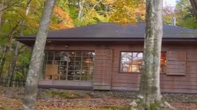 Моцарт смотреть онлайн