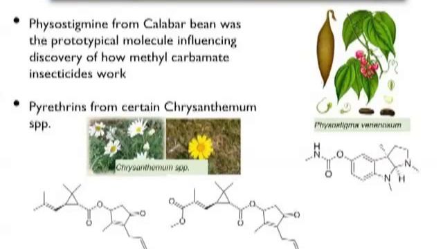 Allan S. Felsot - This Is Not Your Father's Pesticide смотреть онлайн