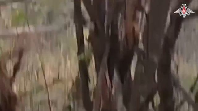 ⚡️СВО 18+ Боевые кадры: Десант освободил Покровский в Курском приграничье смотреть онлайн