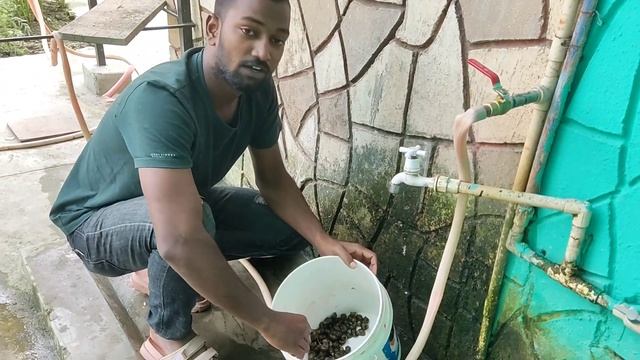 Golden Apple Snail fights with us🤔| BOYZ on HIGH | AJAY, KASHI смотреть онлайн