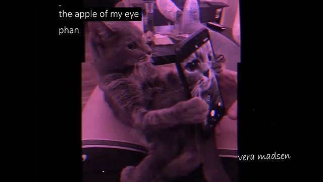 the apple of my eye - phan | Lofi Vietnam смотреть онлайн