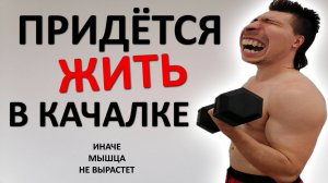 Ваших стараний в тренажёрке НЕДОСТАТОЧНО. И наука это ПОДТВЕРЖДАЕТ