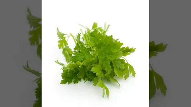Chervil Herb & its health Benefits смотреть онлайн