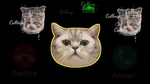 🍎🍏Apple Ringtone ,Cat / iPhone 13 Pro ! EP.24 смотреть онлайн