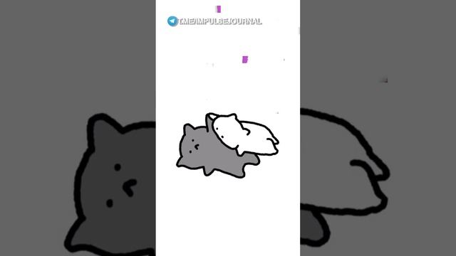 Отправь тому, кого вы хотите нюхать весь день 💕 смотреть онлайн