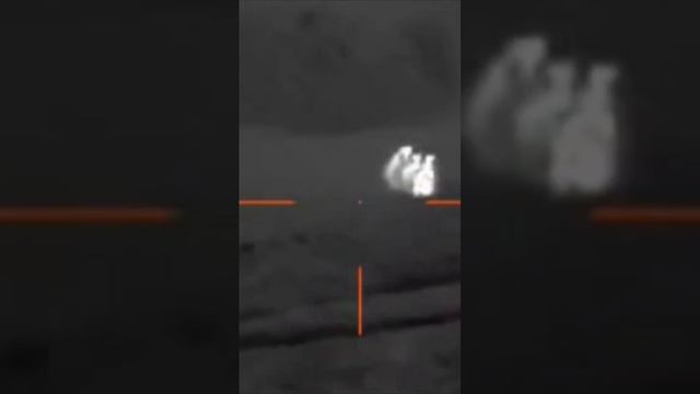 Охота на шакала, прицел guide tr430 #охота #тепловизор #ночнаяохота #308 #guide #tr430 смотреть онлайн