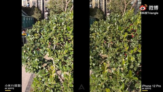 Xiaomi Mi 11 vs iPhone 12 Pro - Grabación a 4K смотреть онлайн