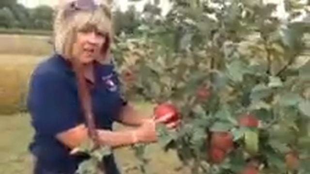 Remick's Apple Orchard - Oak Grove, Mn смотреть онлайн