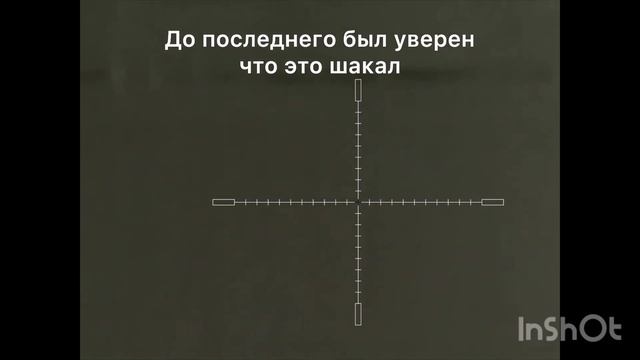8. Охота на хищника в Волгоградских степях, прицел Iray Saim SCT35 v2, карабин Kurbatov R-715 .223 смотреть онлайн