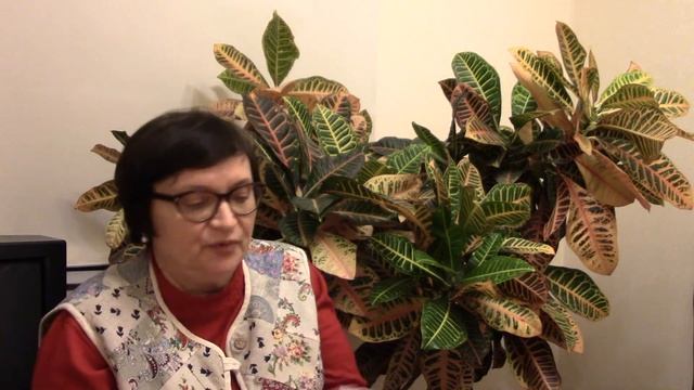 Практикующий психолог Михевнина Ольга Венедиктовна смотреть онлайн