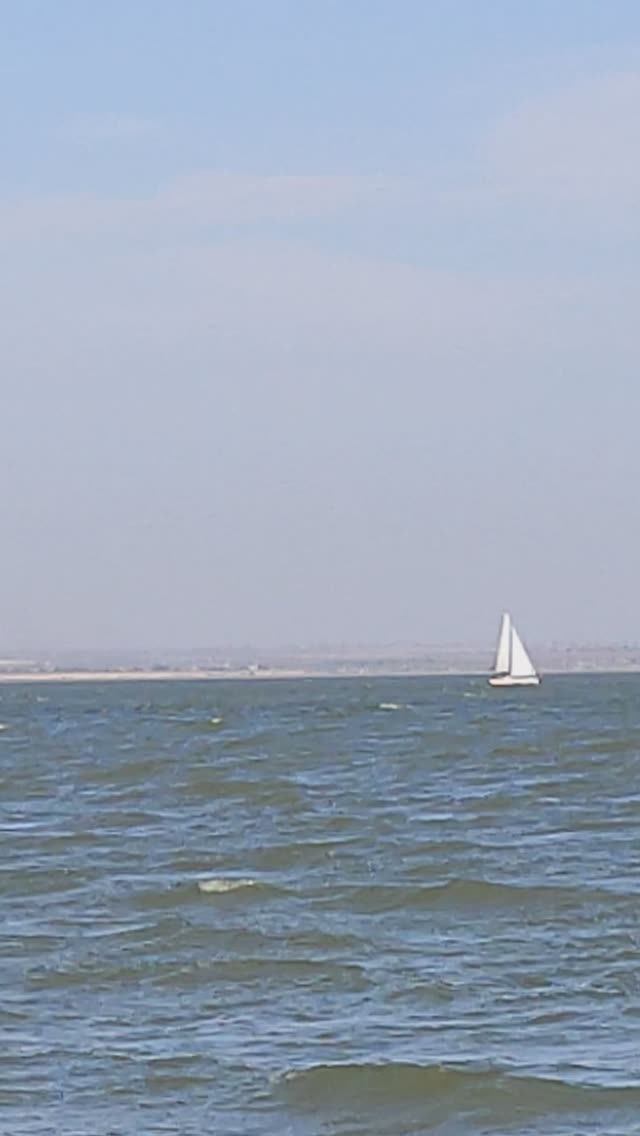 Таганрогский залив октябрь смотреть онлайн