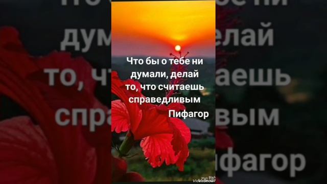 Жизнь так быстро бежит, наслаждайтесь каждым мгновением 🙏🙏🙏 смотреть онлайн