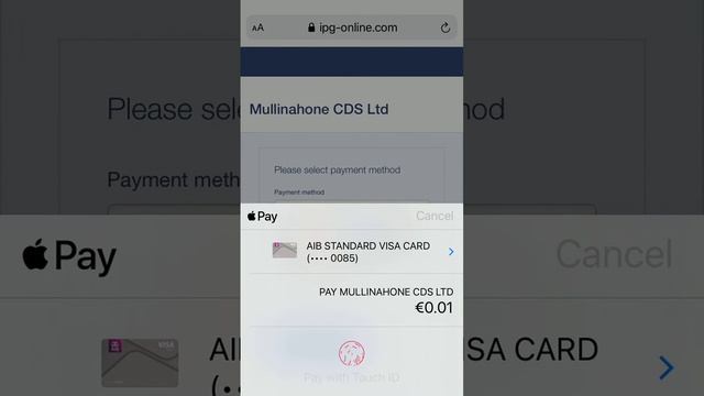 Apple Pay as Payment Method смотреть онлайн
