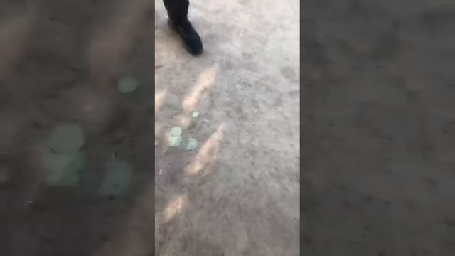 Наглость ППС, прямое увольнение Анастасии, «парк 300-летия» смотреть онлайн