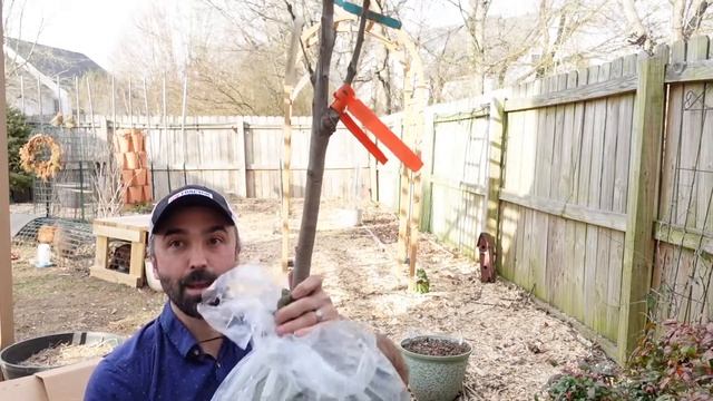 5-in-1 Apple Tree, 5-in-1 Cherry Tree (UNBOXING) смотреть онлайн