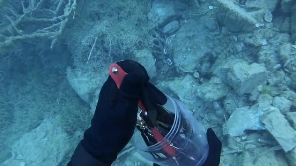 My Best Finds of 2020 (Found Apple Watches, iPhones, and more!)