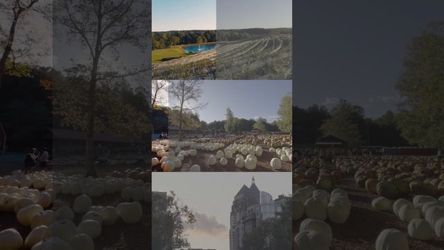I tried ProRes log from the iPhone 15 Pro Max and it’s pretty impressive. What do you think? #iphon смотреть онлайн