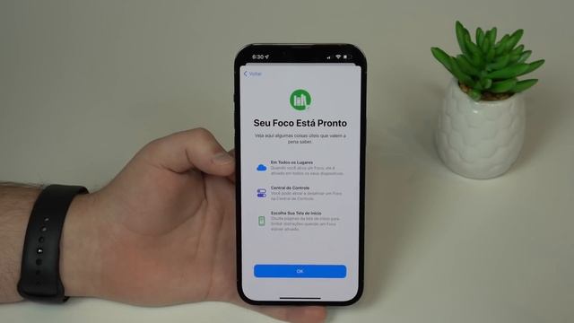 Como Usar o FOCO no iPhone! смотреть онлайн