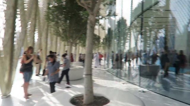 CRAZY NEW APPLE STORE GRAND OPENING IN DUBAI !! смотреть онлайн