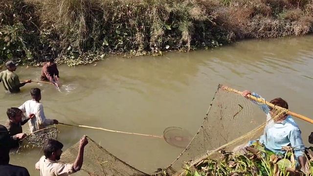 Electrofishing From Canal | Fishing with Fish stunner | Fishing With Electric Generator смотреть онлайн