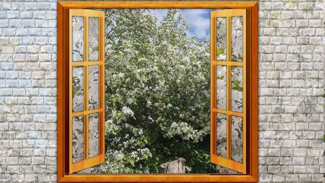 Apple trees in bloom. Walking around the city. May 21 #Favorite_city. №26 смотреть онлайн
