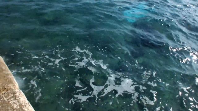 Хорватия Сальса смотреть онлайн