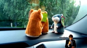 Говорящие хомяки. мега прикол.